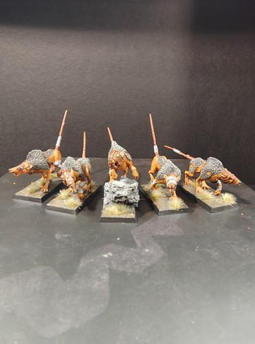 Skaven wolf rats - wolf, painted