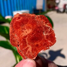 Campioni minerali marini