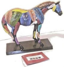 Statuina Sentiero dei Pony