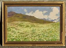 Carlo Pollonera (Alessandria d'Egitto 1849-Torino 1923). Fioritura sul Cenisio 