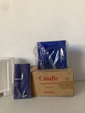 Rare Fontana Arte Wall Sconce