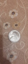 100 lire citta - citta, vaticano