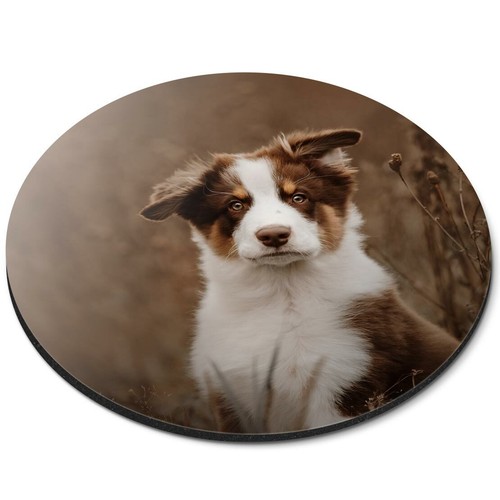 Tappetino per topi rotondo - ,