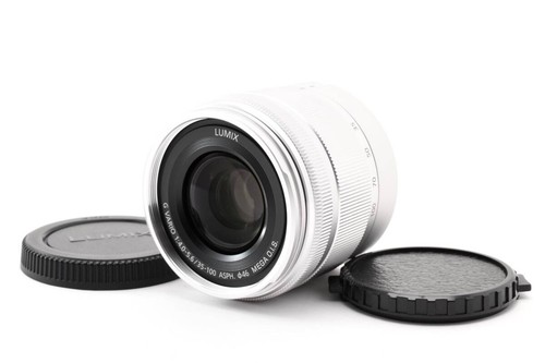 Panasonic lumix vario 100 - panasonic,