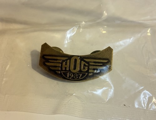 Rara spilla hog harley - hog,