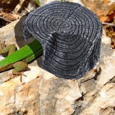 Rettilario Accessori Per