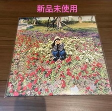 Album analogico Ginkgo Boyz