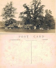 Vintage Postcard - Large