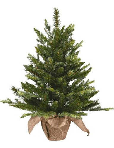 Alberi natale pinetto - natale, con