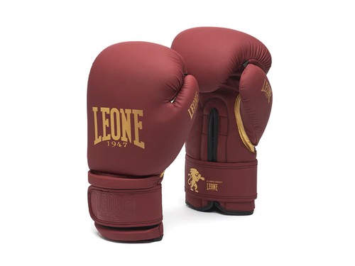 Leone guantoni boxe kickboxing - leone,
