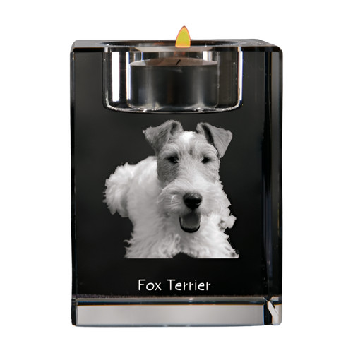 Fox terrier drahthaar porta - terrier, drahthaar,