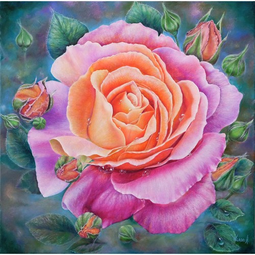 Anastasia woron rosa - anastasia, “rosa