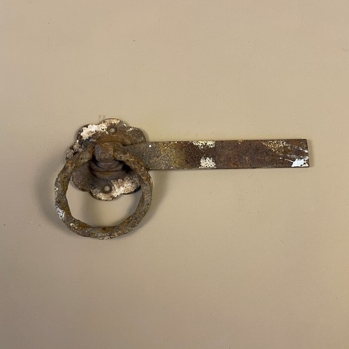 Antique garden door - door, gate