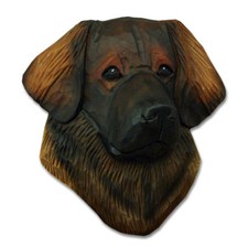 Figura Di Testa Di Leonberger