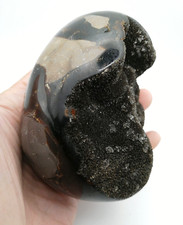 Œuf en  Septaria sauvage 610 g / haut 9 cm, diamètre 6,6 cm Madagascar