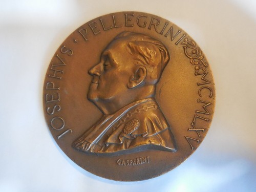 Medaglia giuseppe pellegrini - medaglia,