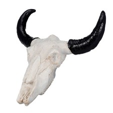  Teschio di mucca con lunghe