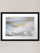 Stampa artistica con cornice