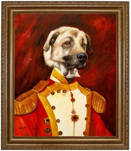 Quadro olio cane cangale - , in