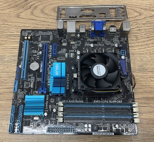 Pacchetto scheda madre - , asus