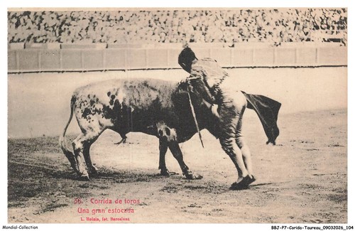 Bbjp7 0567 corrida taureau - bbjp7-0567-corrida-taureau,