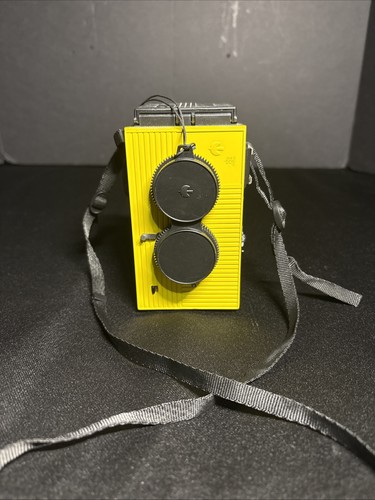 Blackbird fly tlr - fly, fotocamera