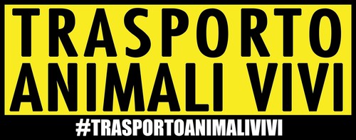 Quattroerre adesivo trasporto - adesivo,