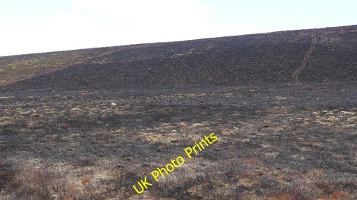 Photo 6x4 scaut hill - photo,
