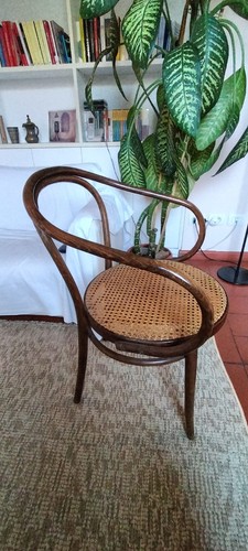 Sedia thonet originale - sedia,
