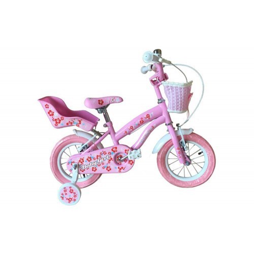 Bici bicicletta schiano - bici,