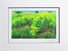 Franco Azzinari - Serigrafia - cm 25x35