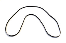 Cinghia di trasmissione per