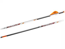 Barnett Hyperflite 22" Bullone