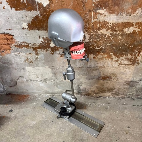 Teschio studio dentista - studio,