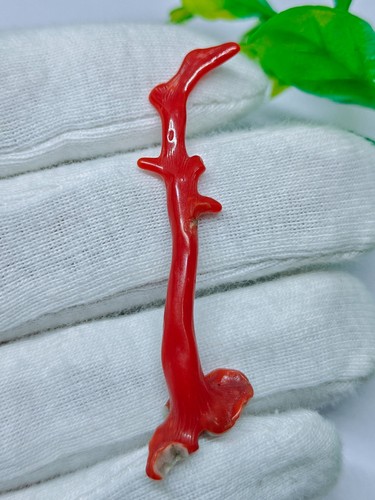 Bastone corallo rosso - bastone, di