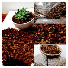 Coconut Husk Chips Orchidea