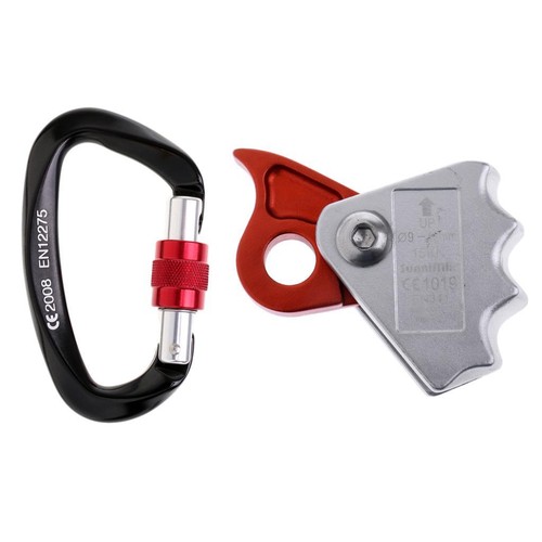 Safety rock climbing - safety, tree