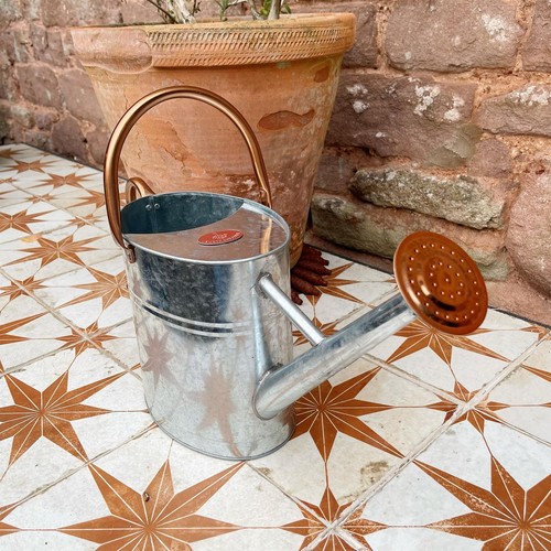 Annaffiatoio zinco summer - annaffiatoio, zinco,