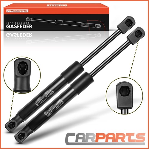 Gas ammortizzatore - 2x,
