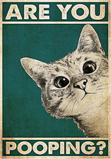 Are You Pooping Poster, 30 X 40 Cm, Divertente, Decorazione per La Casa, Decoraz