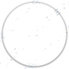 O-RING PORTELLO TIPO BRAVO Ø