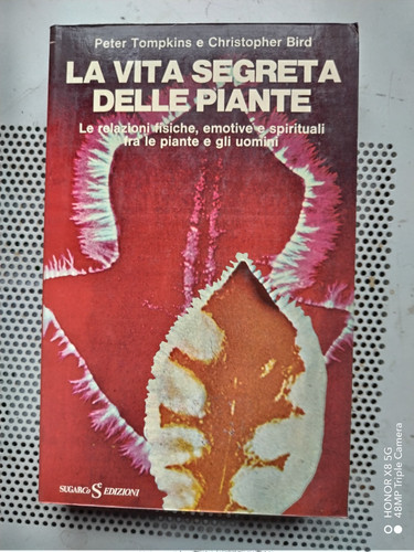Esoterismo vita segreta - esoterismo,