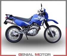 Terminale di Scarico GPR