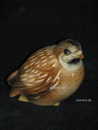 A015591 03 goebel archivio - +#,
