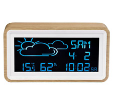 Termometro DIGITALE igrometro