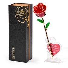 Rosa Esterna Stabilizzata Vera