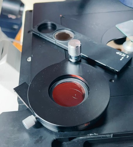 Leica pol polarizzatore lenti