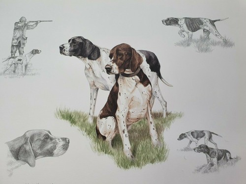 Nigel hemming cane caccia - hemming,