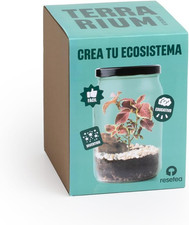 Kit Terrarium