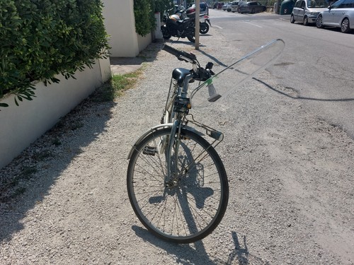 Bicicletta donna frera - bicicletta,